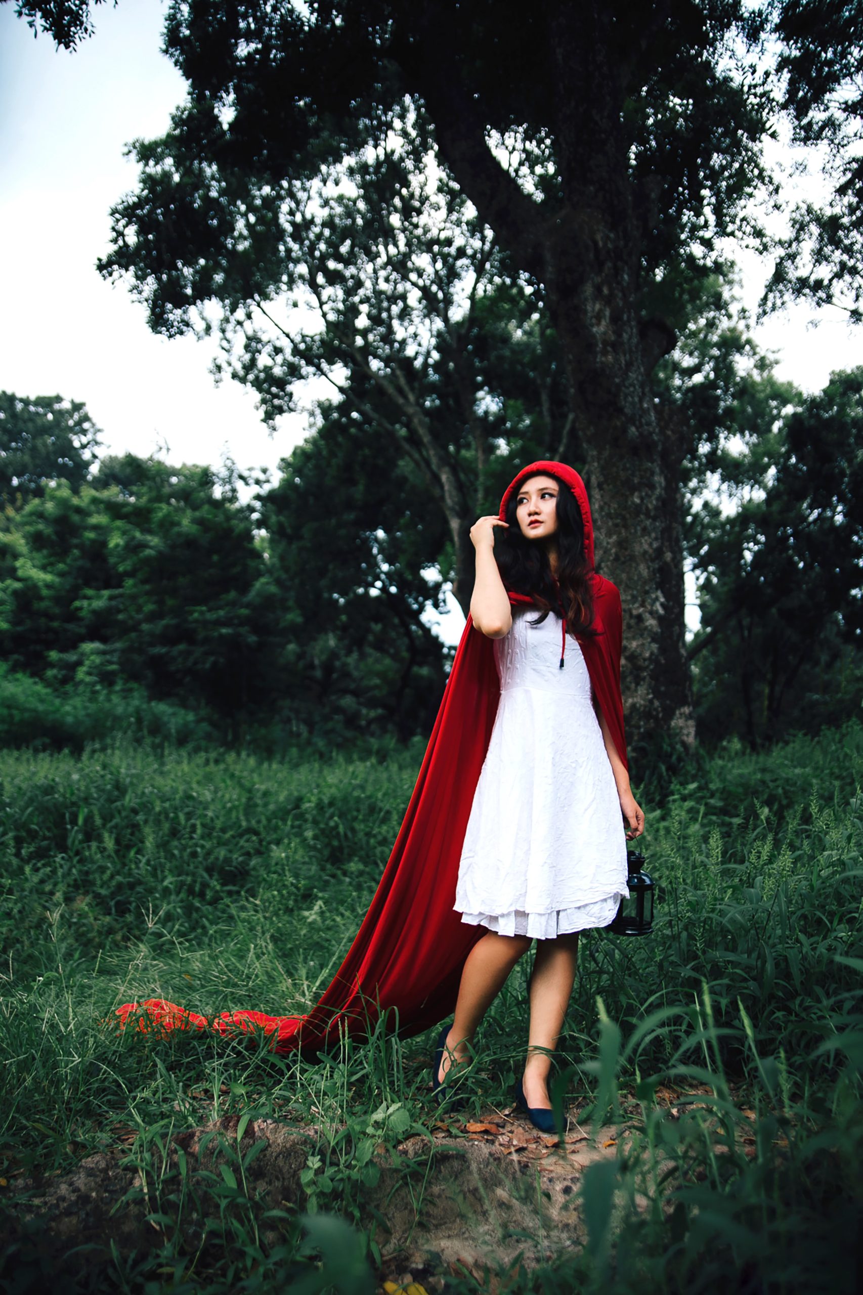 red riding hood story